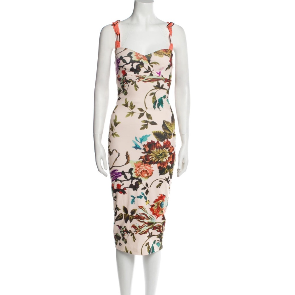 Ted Baker Floral Midi Dress XS/0